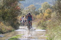 Konavle Valley Small-Group Bike Tour from Dubrovnik