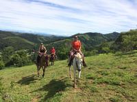 Small-Group Horseback Riding from Paraty image 1 Small-Group Horseback Riding from Paraty image 1
