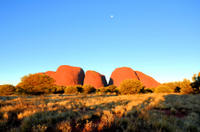 3 jours de safari et le camping à Ayers Rock, aux Monts Olga et à Kings Canyon