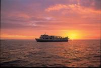 Fiji Sunset Dinner Cruise et spectacle culturel