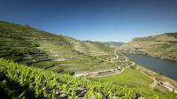Viagem diurna ao Vale do Douro e de vinhos, saindo do Porto, com cruzeiro Viagem diurna ao Vale do Douro e de vinhos, saindo do Porto, com cruzeiro