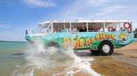 Land and Sea: DUCK Amphibious Tour of Cairns image 1 Land and Sea: DUCK Amphibious Tour of Cairns image 1