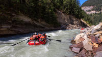 Half-Day Whitewater Rafting on Kicking Horse River