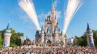 Aller-retour de Miami au Magic Kingdom Disney d'Orlando Aller-retour de Miami au Magic Kingdom Disney d'Orlando