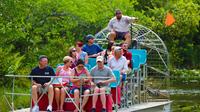 Excursion dans les Everglades en hydroglisseur Excursion dans les Everglades en hydroglisseur