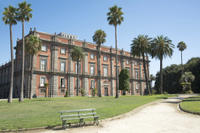 Private Tour: Capodimonte Museum in Naples