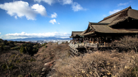 Visite à pied de Kyoto with a specialist: shintoïsme et bouddhisme au Japon