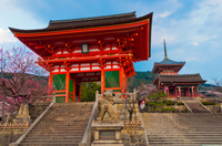 Visite à pied de Kyoto privée with a specialist: shintoïsme et bouddhisme au Japon
