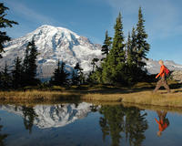 Randonnée OÜ promenade en raquettes en petit groupe with déjeuner au Mont Rainier
