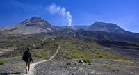 Small-Group Full-Day Tour of Mount St Helens Volcano from Seattle
