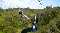 Zip n' Swim- Zipline Through Paradise and Private Waterfall Swim