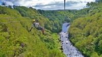 Zipline Through Paradise: Side By Side Dual Track Zipline Course