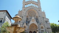 Excursion à Valldemosa et dans la Vallée de Sóller à Majorque