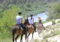 Visite de Majorque en soirée: promenade à cheval, dîner et danse