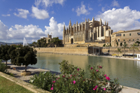 Visite privée: la vieille ville de Palma de Majorque, la cathédrale de Palma et Une croisière