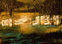 Visite privée: Les Grottes du Drach à Majorque et la fabrique de perles Majorica