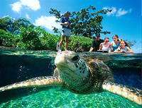Evitez les fichiers d'attente: Aquarium de Palma à Majorque