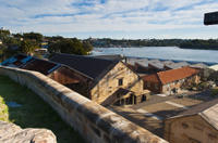 Croisière dans le port de Sydney et visite de Goat Island
