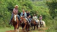 Dominican Republic Countryside Horseback Riding from Puerto Plata