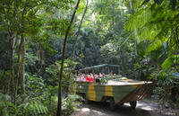 Kuranda Rainforestation Nature Park