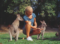 Wildlife Habitat Port Douglas