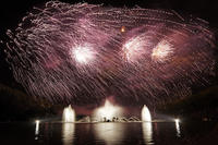 Billet coupe-file: visite du château de Versailles with spectacle nocturne des Grandes Eaux