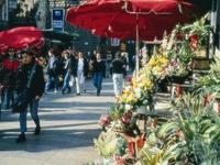 Barcelona Half-day City Tour with Japanese guide Barcelona Half-day City Tour with Japanese guide