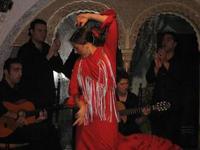 Flamenco à Barcelone avec un assistant japonais Flamenco à Barcelone avec un assistant japonais