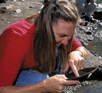 Juneau Shore Excursion: Gold Panning and Salmon Bake Combo Tour