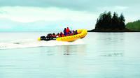 Ketchikan Rainforest Nature Walk and Sightseeing Cruise 