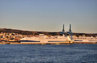 Transfert privé de Civitavecchia: port de croisière de Civitavecchia vers le centre de Rome