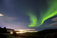 Iceland Super Saver: Northern Lights Cruise plus Whale-Watching Tour from Reykjavik