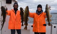 Sea-Fishing Tour from Reykjavik