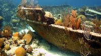 Shipwreck Snorkel in Bermuda