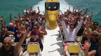 Wildcat Boat Adventure Blast in Bermuda