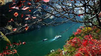 4-Day Century Sun Yangtze River Cruise Tour  from Chongqing to Yichang