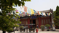 Biking Excursion: Explore Xi'an Buddhism Temple 