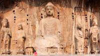 Private Tour: Longmen Grottoes Day Tour from Xi'an to Luoyang via High Speed Train