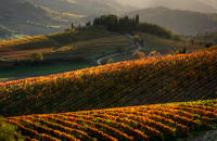 Tuscany Hiking Tour from Siena Including Wine Tasting