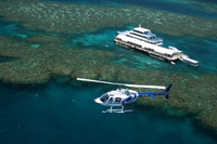 Excursion au bord de mer à Cairns: survol de la Grande Barrière de corail et de la forêt équatoriale en hélicoptère