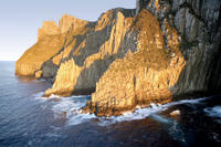 Full-Day Tasman Peninsula Tour from Hobart