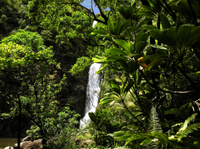 Excursion luxe d'Une journée en petit groupe au parc national de Haleakala et dans la forêt tropicale de la côte de Hana