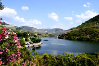 Excursion en petit groupe dans la Vallée du Douro Avec dégustation de vin, déjeuner portugais et croisière sur le fleuve en options