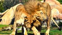 Imagen Entrada a Bioparc Valencia