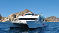 Whale Cruise Regarder à Los Cabos Y compris Déjeuner