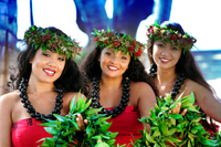 Island Breeze Luau sur la grande île
