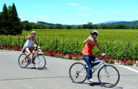 Excursion en vélo Dans la région vinicole et déjeuner transports with pique-nique DEPUIS San Francisco