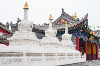 Private Tour: Xi'an Bike Adventure Including Tibetan Temple and Terracotta Warriors