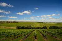 Imagen Daylesford Private Winery Tour