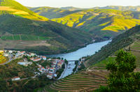 Day Trip to Douro